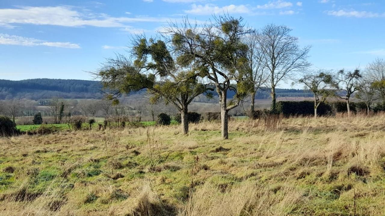 Gite Cottage Chaleureux En Pleine Campagne Vue Sur Les Monts Et Forets Et Le Chateau De Carrouges 外观 照片