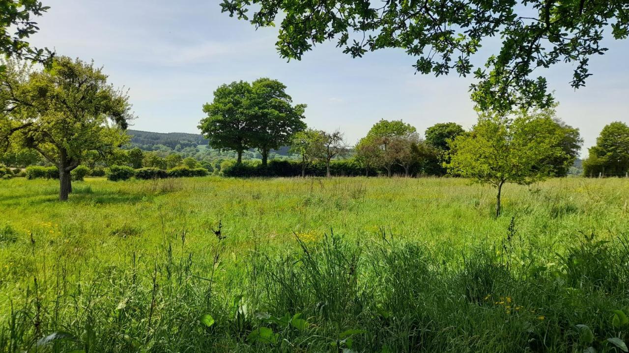 Gite Cottage Chaleureux En Pleine Campagne Vue Sur Les Monts Et Forets Et Le Chateau De Carrouges 外观 照片
